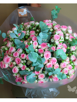 БУКЕТ МОНО ЦВЕТОВ № 499