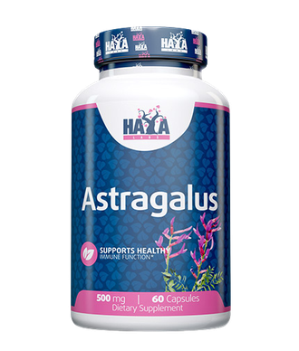 Astragalus 500mg