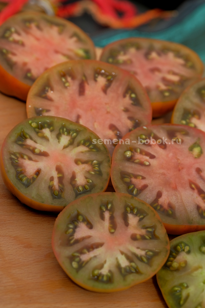 Томат Dwarf Chocolate Champion (Гном Шоколадный Чемпион), 10 шт