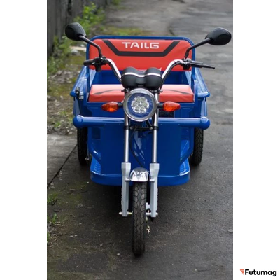 Грузовой электротрицикл TaiLG TL650