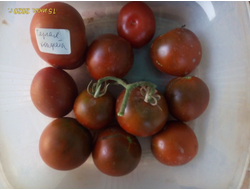 Томат Черная конфета (Black candy)