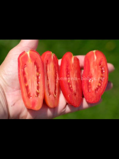 Томат Фляшен Pozano (Фляшен Позано), 10 шт