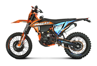 Мотоцикл PROGASI Race 300