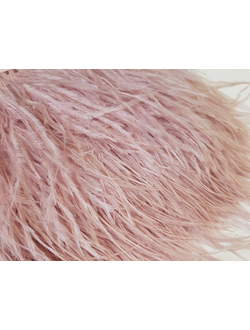 Перья страуса 10-15см  ПУДРА