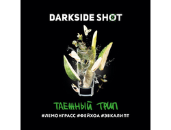 DARKSIDE SHOT 30 г. - ТАЕЖНЫЙ (ЛЕМОНГРАСС/ФЕЙХОА/ЭВКАЛИПТ)