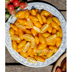 Томат Borghese Vase Roman (Римская Ваза Боргезе), 10 шт