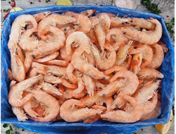 КРЕВЕТКИ КОРОЛЕВСКИЕ С ГОЛОВОЙ