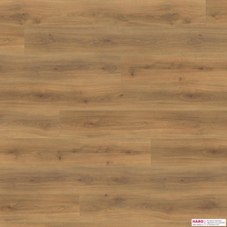Декор ламината Haro Дуб Эмилия Медовый 540269 фронт