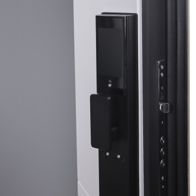 Стальная дверь   Эдинбург с зеркалом (биометрический замок)