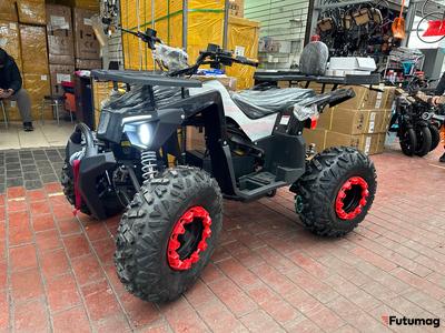 Электроквадроцикл Ikingi 225