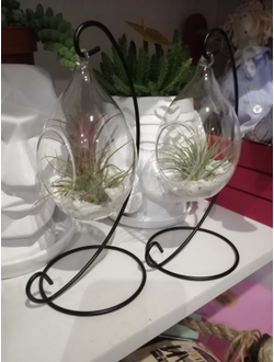 Флорариум Капелька Green