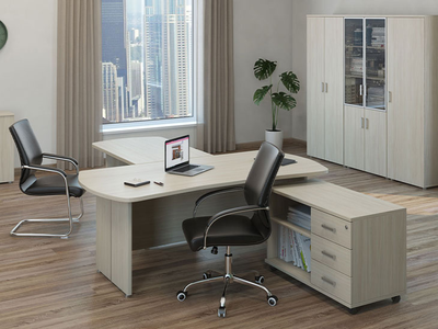 Кабинет руководителя Bonn