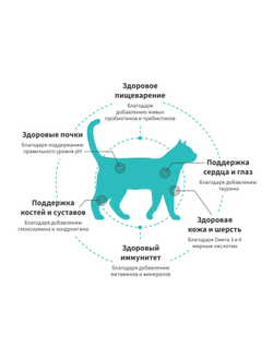 Grandorf Fresh для взрослых кошек с уткой и бататом, 400 г