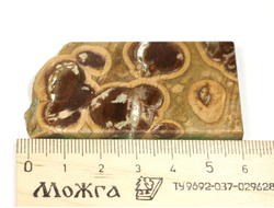 Риолит, яшма, срез полированный, Россия (61*34*5 мм, 25 г) №29776