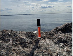 Духи НОТА: ЖЕНСКОЕ ПРИСУТСТВИЕ, 5.5 мл