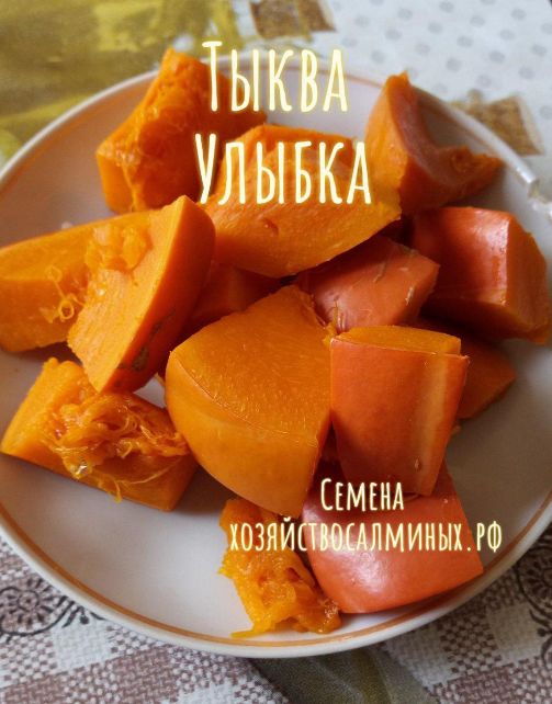 Тыква Улыбка семена