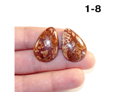 Коралл натуральный окаменелый (кабошон) №1-8: 6,0г - 2 шт. 26*18*5мм