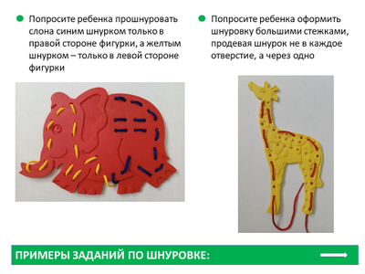 Шнуровки «Дикие животные». Набор