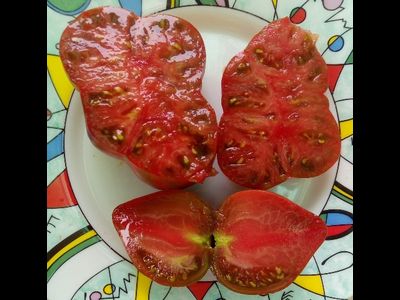 Томат Rebel Starfighter Prime (Мятежный звездный истребитель)