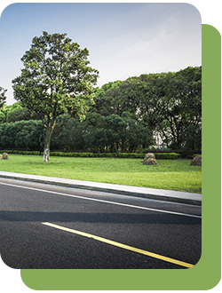 Дорожный газон