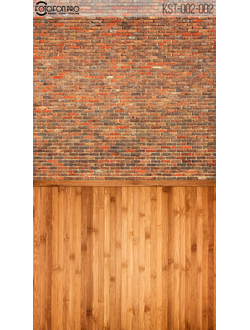 Фотофон «Польди»