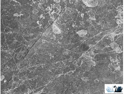 Керамогранит Laparet Crystal cерый 40х40 см под мрамор Arabescato Orobico Silver в магазине Marysя