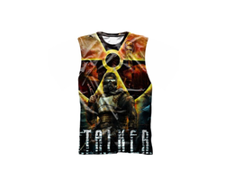 Майка Stalker/ Сталкер №2