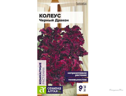 Колеус Черный Дракон/Сем Алт/цп 5 шт. (2029 / 41991)