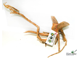 Коряга ПУСТЫННАЯ S (10-30см)