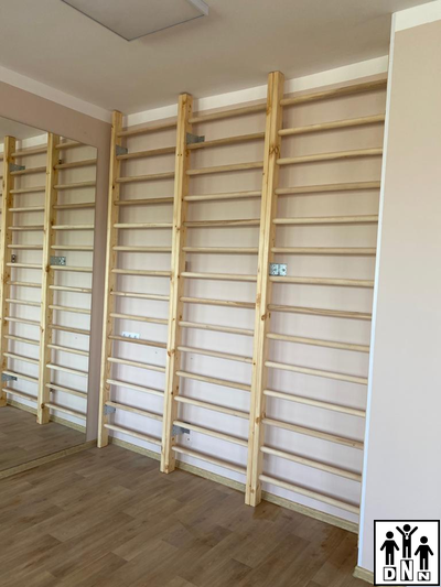 Стенка гимнастическая дерев. 800*2200 мм DNN