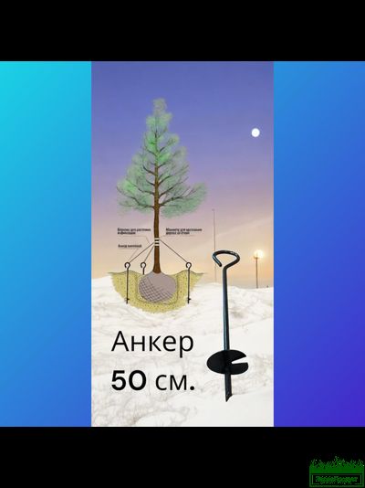 Анкер для растяжки деревьев 50 см.