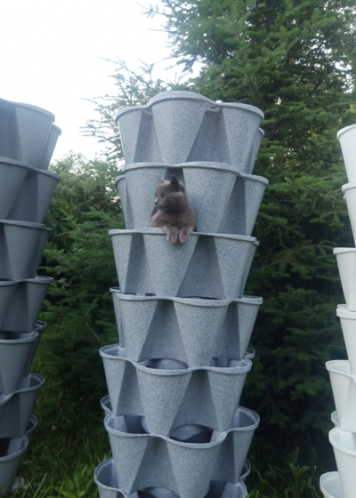 Вертикальная грядка "Лея" (имитация камня гранит)