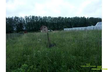 Участок 12 соток до начала работ