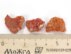 Коралл природный в ассортименте, Индонезия (18-20 мм, 1-2 г) №27522