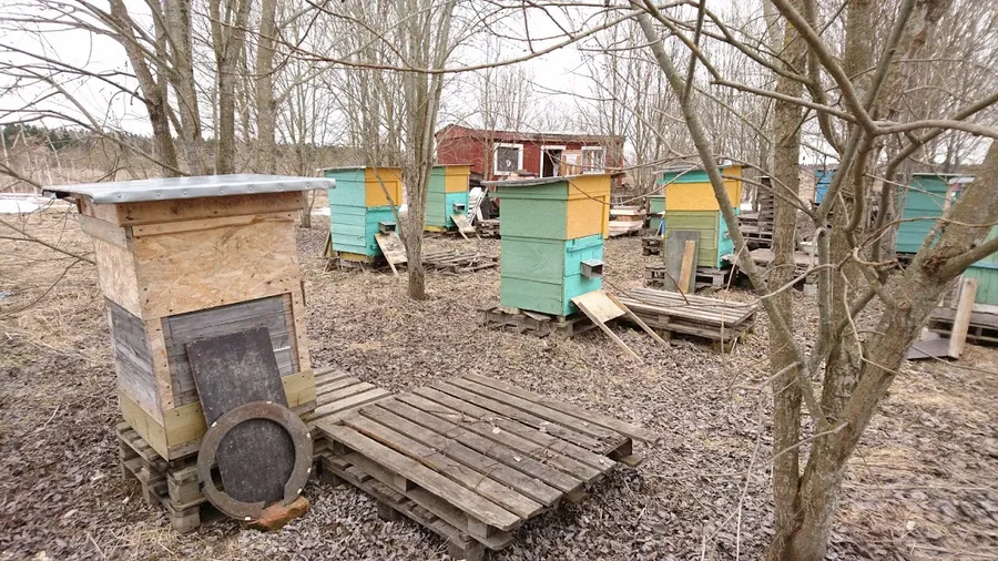 Этот надо покрасить