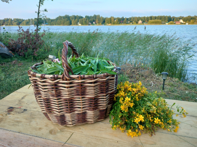 Мастер-класс «Сбор вкусных трав и изготовление напитков»