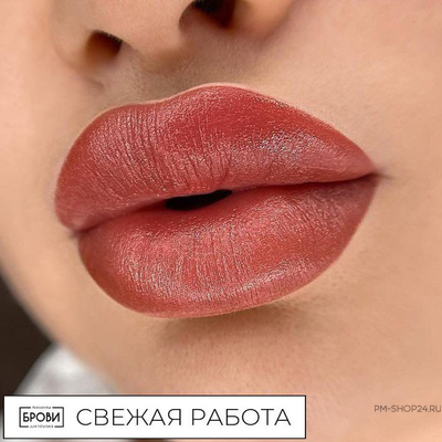 SVETA SCHWARZ PRIMER SET в pm-shop24.ru