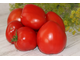 Zore’s big red