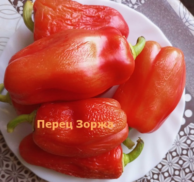 Перец сладкий Зоржа