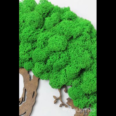 ЖИВАЯ ЭКО-КАРТИНА 1025