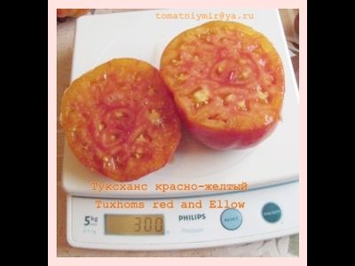 Томат Туксханс красно-жёлтый (Tuxhorn’s Red and Yellow)