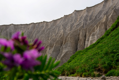 Экспресс тур по Сахалину. 4 дня. Май - сентябрь 2025