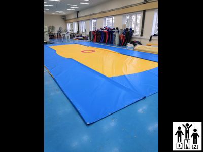 Покрышка борцовская плотность 630гр*м2 двухцветная люверсы (цена за 1 м2) DNN