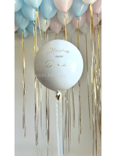 Комплект на гендер-пати №3