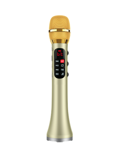 Профессиональный   караоке-микрофон      L-1038DSP  25w