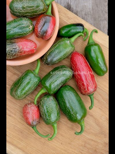Перец острый Jalapeno Chichimeca, 10 шт