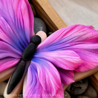 Бабочка Флора