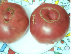 Томат Малиновый мишка