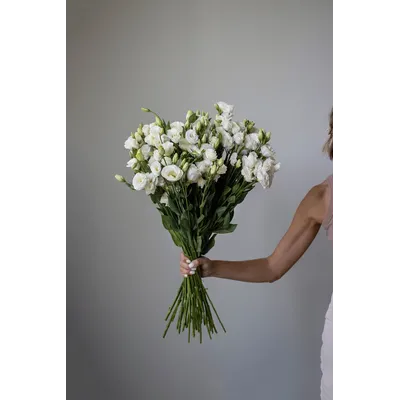 Моно букет цветов № 523