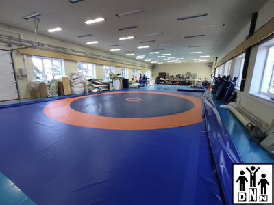 Борцовские покрытия